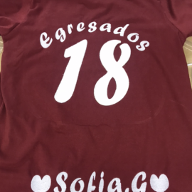 Remera Egresados 